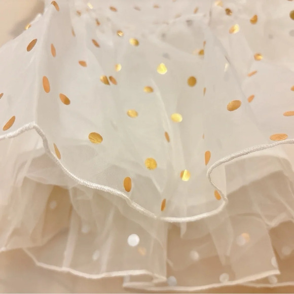 Gold Polka Dot  Embroidered Collar Dress - Picture 4 of 4